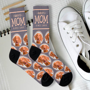 Pet Mom Gift Dog Cat Photo Pattern Purple & Pink Socks
