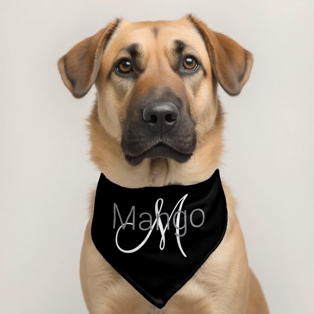 Pet Monogram Name Initials Bandana Collar (Dog 2)