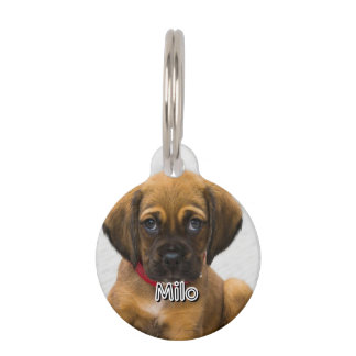 Pet Name and Address ID Tag