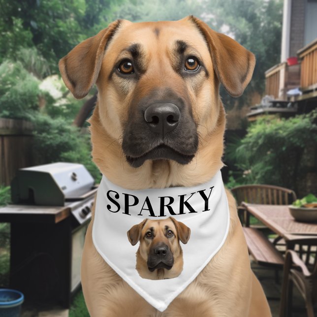 Pet name and Photo Custom  Pet Bandana Collar (Creator Uploaded)