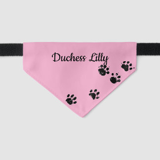 Pet Name Bandana Collar