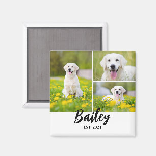 Pet Name Established 3 Photo  Magnet