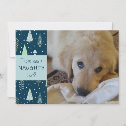 Pet Naughty or Nice Blue Trees Happy Holidays Holiday Card