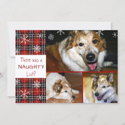 Pet Naughty or Nice Snowflake Plaid 3 Photos Holiday Card