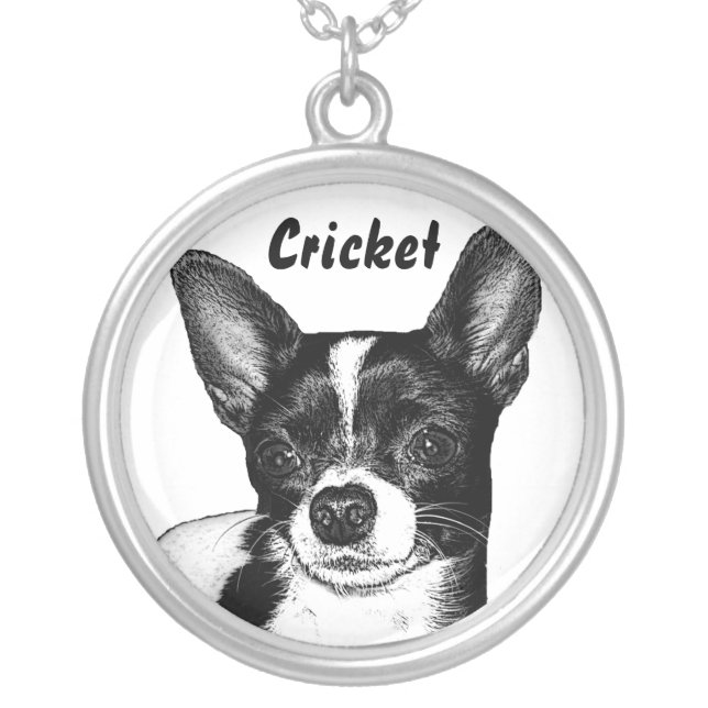 Pet Necklace (Front)