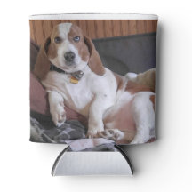 Pet or Family photo can cooler