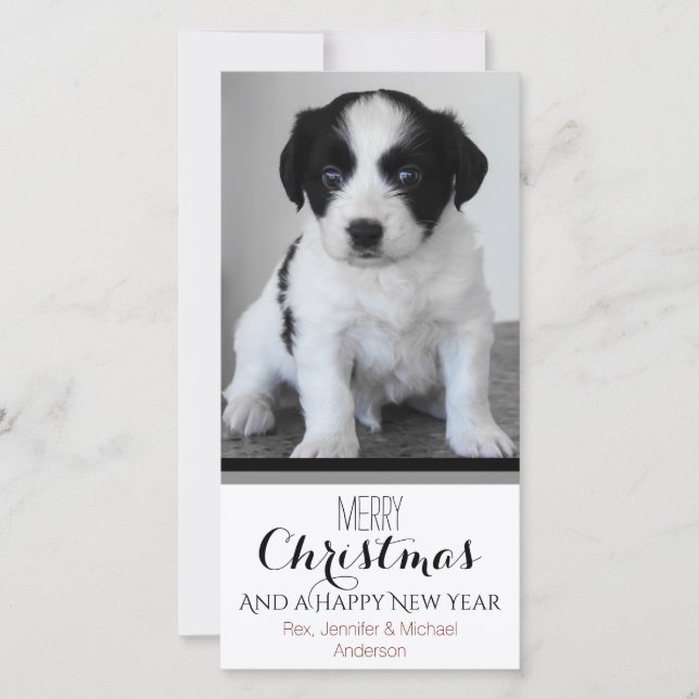 Pet or Puppy Black White Holiday Christmas (Front)