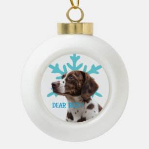 Pet ornament christmas personalize