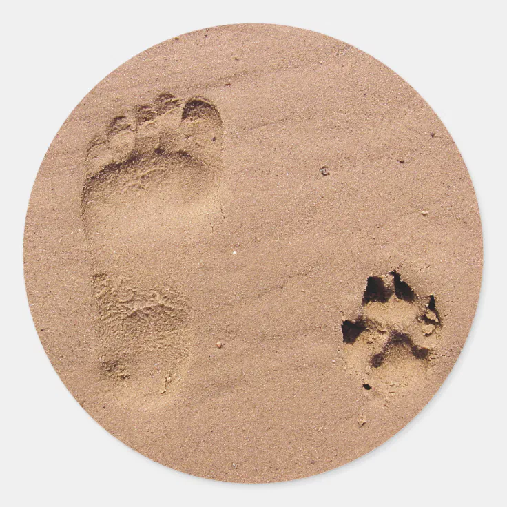 Pet & Owner Prints in the Sand Classic Round Sticker | Zazzle