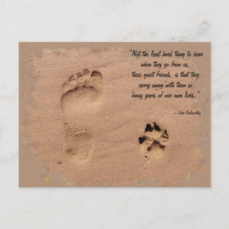 Pet & Owner Prints in the Sand Postcard