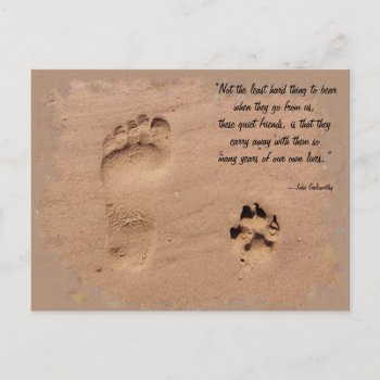 Pet & Owner Prints In The Sand Postcard by Paws_At_Peace at Zazzle