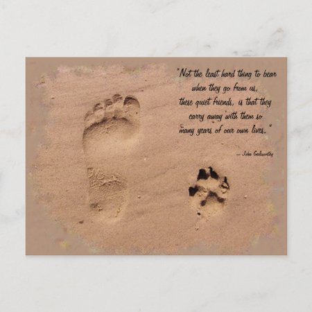 Pet & Owner Prints In The Sand Postcard