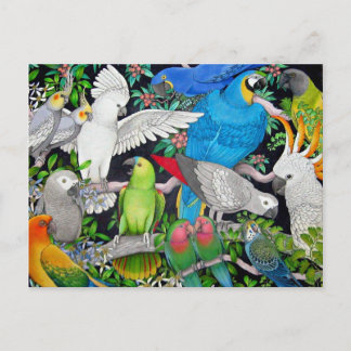 Pet Parrots of the World Postcard