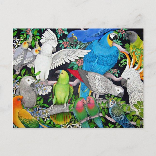 Pet Parrots of the World Postcard (Front)