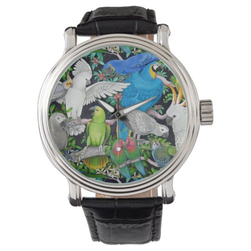 Pet Parrots of the World Watch