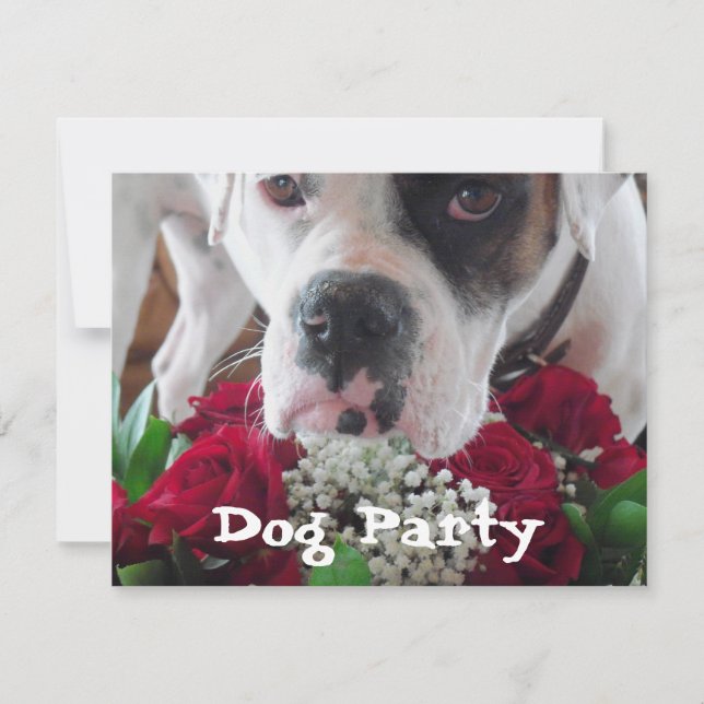 Pet Party Invitations Cute Boxer w/ Roses Bouquet (Front)