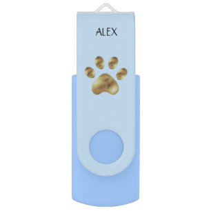 Pet paw on light blue flash drive