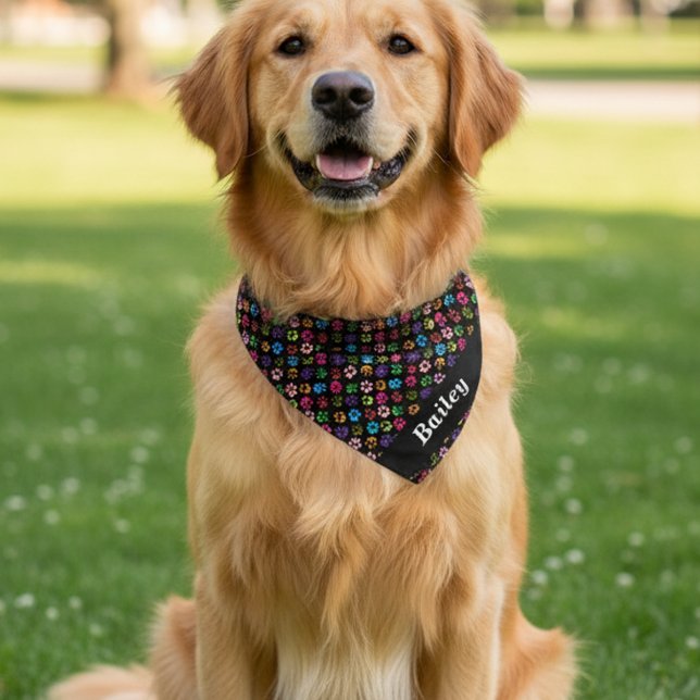 Pet Paw Print Personalized Rainbow Bandana (Creator Uploaded)