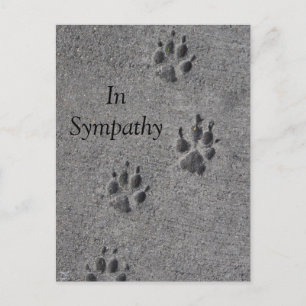 Pet Paws in Cement – Always There Postcard