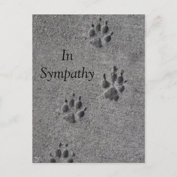 Pet Paws In Cement – Always There Postcard by Paws_At_Peace at Zazzle