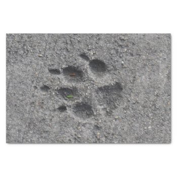 Pet Paws In Cement – Always There Tissue Paper by Paws_At_Peace at Zazzle