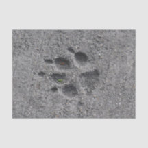 Pet Paws in Cement – Always There