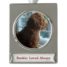 Pet/Person (Personalize)