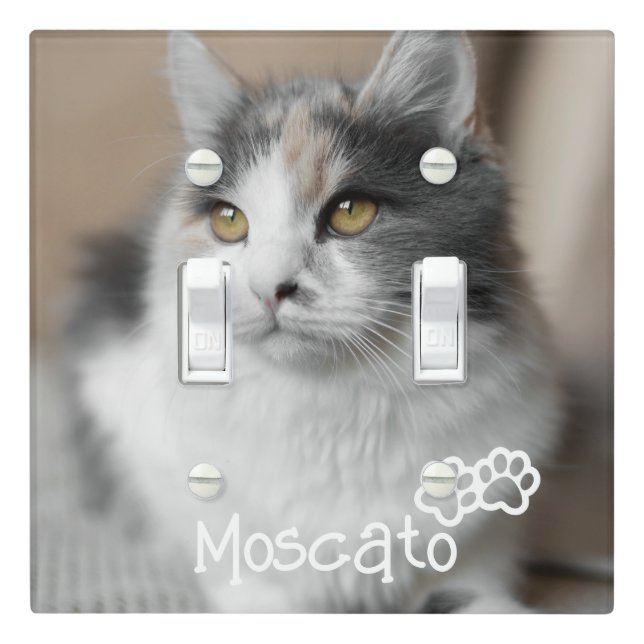 Pet Photo and Name Custom Wall Plate (In Situ)