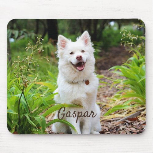 Pet Photo And Name Personalized Mouse Pad