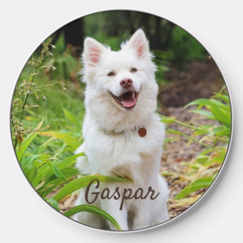 Pet Photo And Name Personalized Wireless Charger