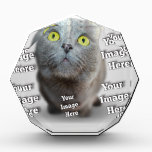 Pet Photo Award<br><div class="desc">It’s a snap to create your own. You can use a chat meme or any image you like. 
These best sellers are trending now and are part of our top 10 requested products. Our customer base appreciates Top sellers which follow the current trends and upscale fashions.</div>