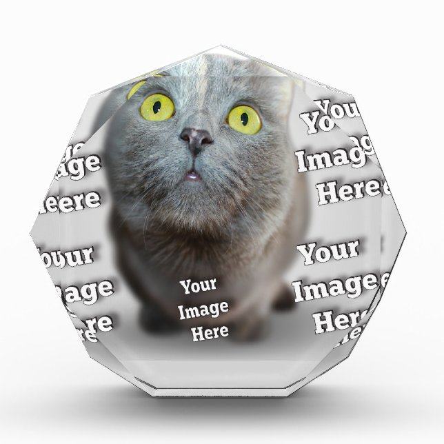 Pet Photo Award (Front)