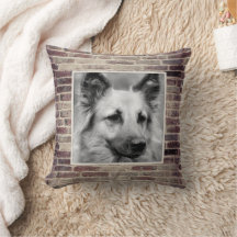 Pet Photo Brickwork Accent Pillow