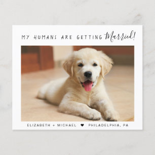 Pet Photo Budget Engagement Announcement