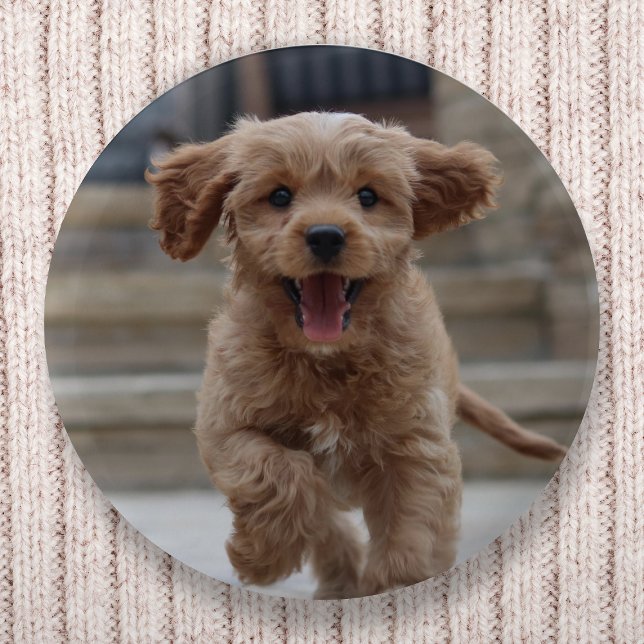 Pet Photo Button Pin | Custom Dog Picture DIY Pins (Creator Uploaded)