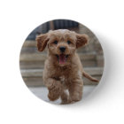 Pet Photo Button Pin | Custom Dog Picture DIY Pins