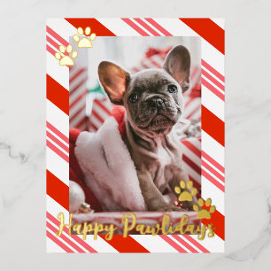 Pet Photo Candy Cane Striped Happy Pawlidays Gold Foil Holiday Postcard