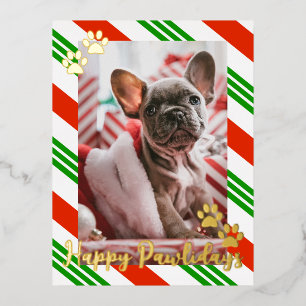 Pet Photo Candy Cane Striped Happy Pawlidays Gold Foil Holiday Postcard