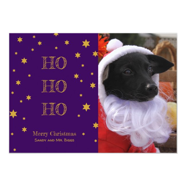Pet Photo Christmas Card Personalized Your Photo