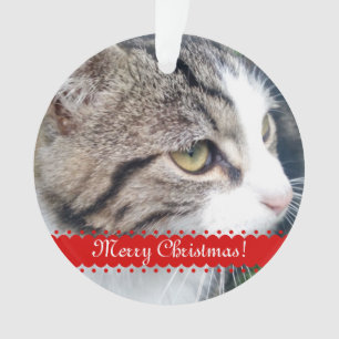 Pet photo Christmas ornament   Upload your images
