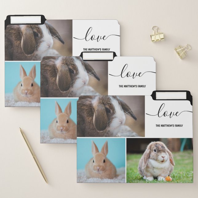 Pet Photo Collage Custom File Folder (Set)