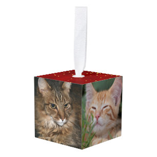 Pet Photo Cube Ornament