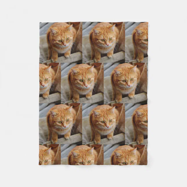 Pet Photo Custom Create Your Own Dog Cat Fleece Blanket Zazzle