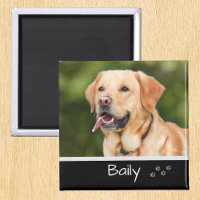 Pet Photo Custom Personalize