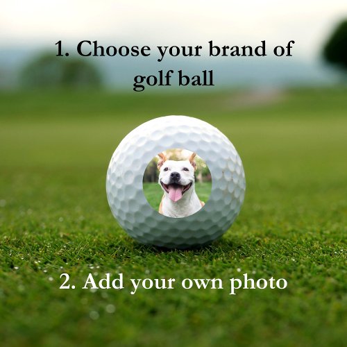 Pet Photo Custom Template Golf Balls