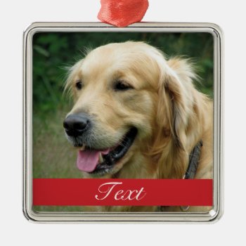 Pet Photo Customizable Metal Ornament by lovableprintable at Zazzle