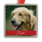 Pet Photo customizable