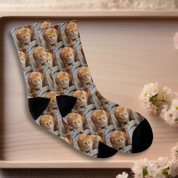 Pet Photo Customized Fun Dog Cat Socks