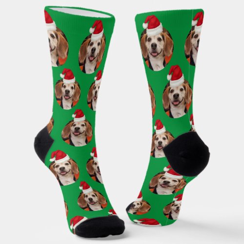 Pet Photo Cute Kelly Green Santa Hats Christmas Socks