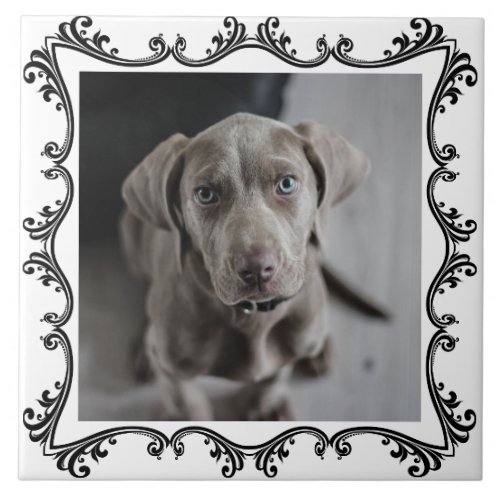 Pet Photo Decorative Ceramic Tile